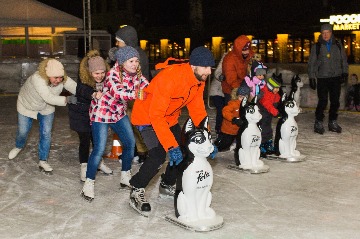 IMG_6653.jpg