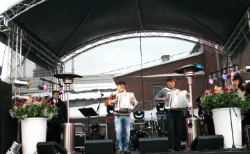 IMG_0915.JPG