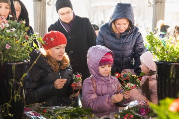 IMG_7386.jpg
