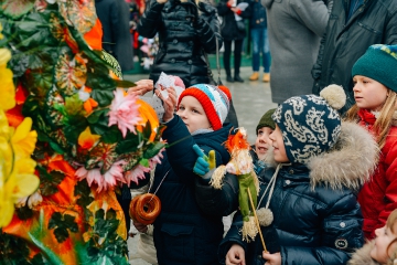 _IMG3910.jpg