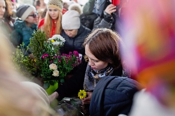 IMG_3831.jpg