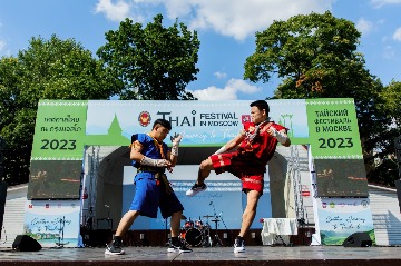 ThaiFest-939.jpg