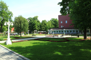 Выступление духового оркестра Выступление духового оркестра