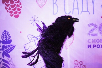 IMG_8836.jpg