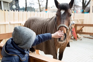 2016_03_13___0011.jpg