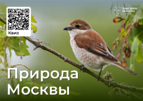 Фестиваль «Природа Москвы. Лето/Осень/Зима»