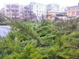 В парке «Горка» проведут акарицидную обработку от клещей
