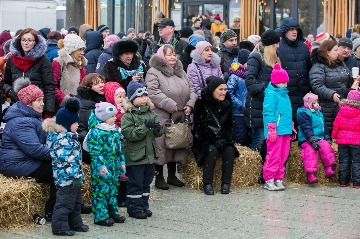18.02.2018 Сад Эрмитаж (220 of 842).jpg