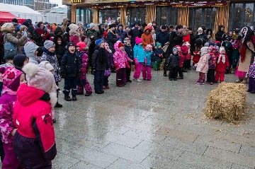 18.02.2018 Сад Эрмитаж (240 of 842).jpg