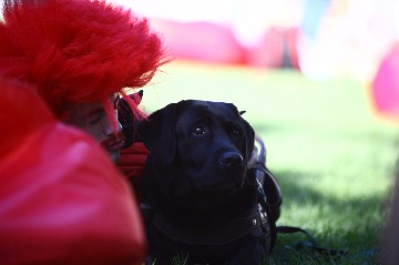 IMG_8350.JPG