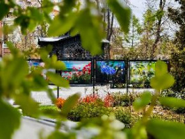 В саду «Эрмитаж» открылась фотовыставка Русского географического общества «Калейдоскоп цветов»