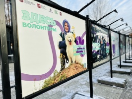 Фотовыставка "Здесь волонтеры"