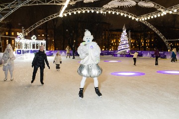 IMG_2536.jpg