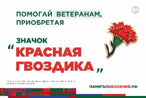 Ежегодная всероссийская акция помощи ветеранам «Красная гвоздика»