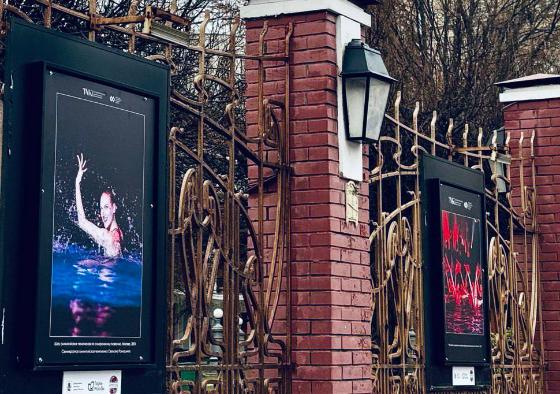 В саду «Эрмитаж» открылась новая фотовыставка
