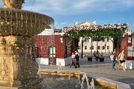 В саду «Эрмитаж» покажут мир информационных технологий и искусственного интеллекта