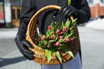 IMG_7214.jpg