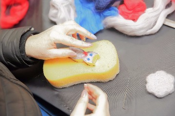 IMG_5678.JPG