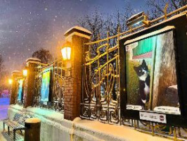 В саду «Эрмитаж» открылась новая фотовыставка «ПРИЮТИ ЖИЗНЬ»