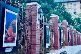 Выставка под открытым небом «Океан в лицах» открылась в саду «Эрмитаж»