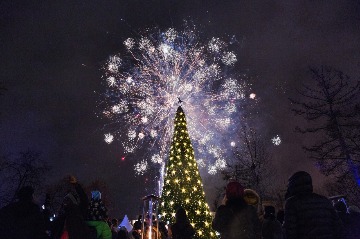 IMG_7375.jpg