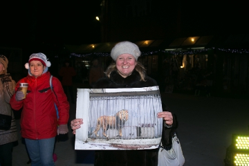 PET_2611.jpg